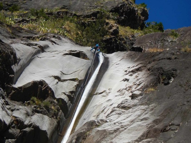 canyon fleur jaune, île de la reunion , Romain alazard