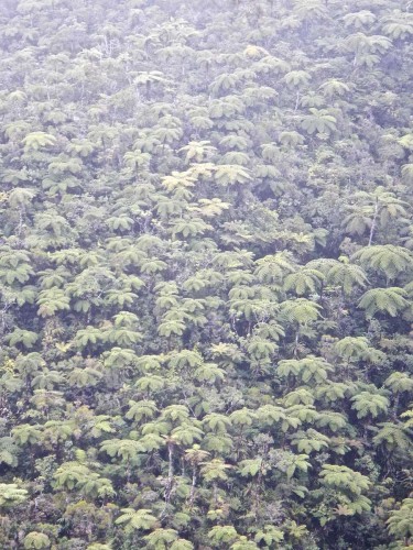 canyoning-ravine-coloscopie-alazard-30
